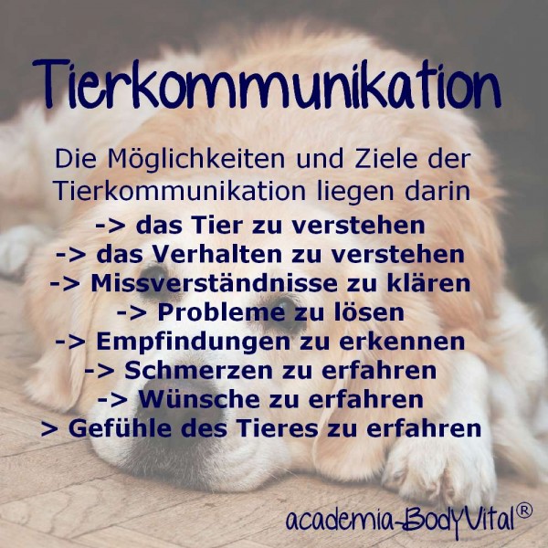 Tier- Kommunikation Basiskurs