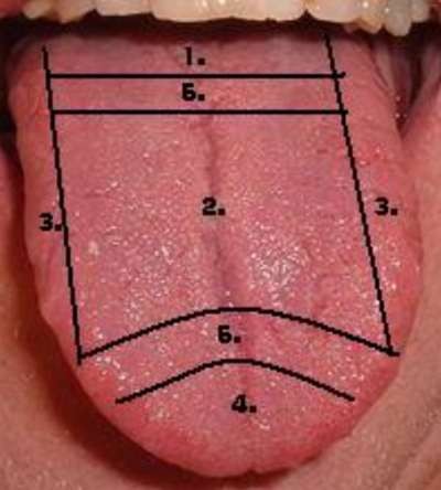 Chakrendiagnose Basiskurs