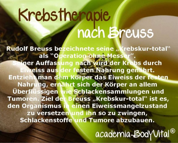 Krebstherapie nach Breuss Basiskurs