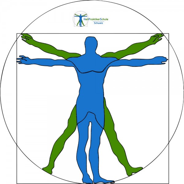 Pathologie - KL: Respiratorisches System