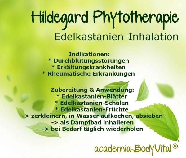 Hildegard von Bingen Phytotherapie Seminar