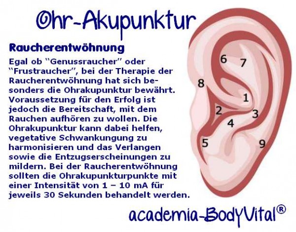 Ohrakupunktur- Auriculotherapie Seminar