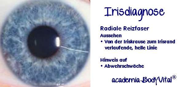 Tier- Irisdiagnose Basiskurs
